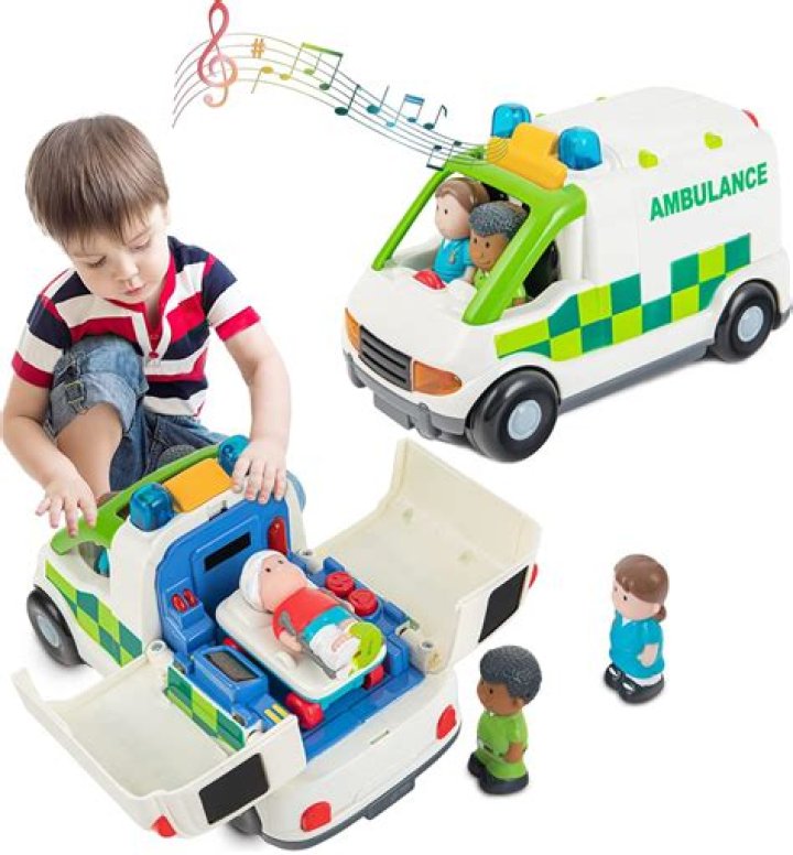 Can dogs ride in ambulance?