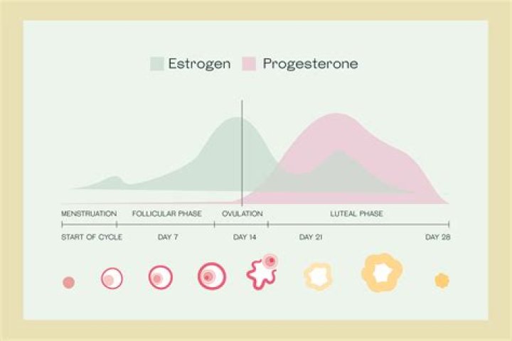 Can I get progesterone over the counter uk?