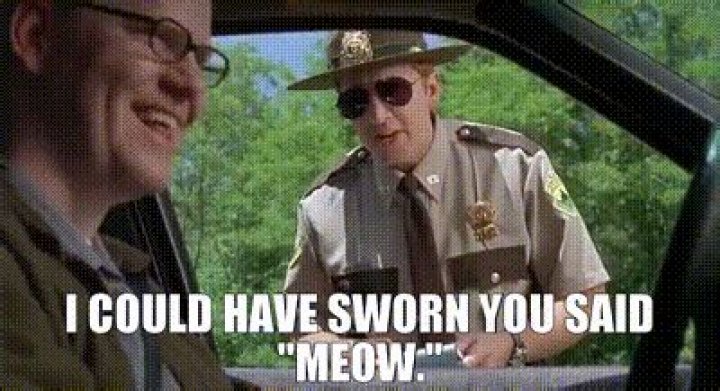 Did I say meow super troopers?