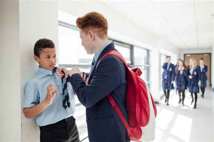 Does wearing school uniforms stop bullying?