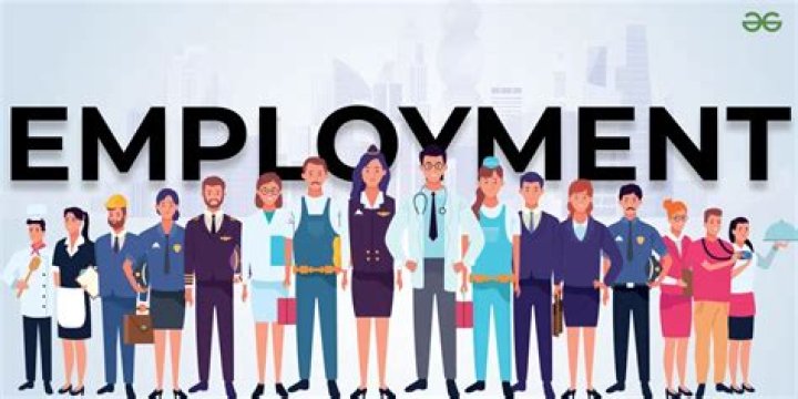 How many people are employed in primary sector?
