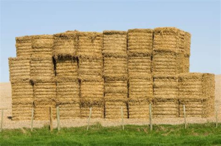 How much does a small square bale sell for?