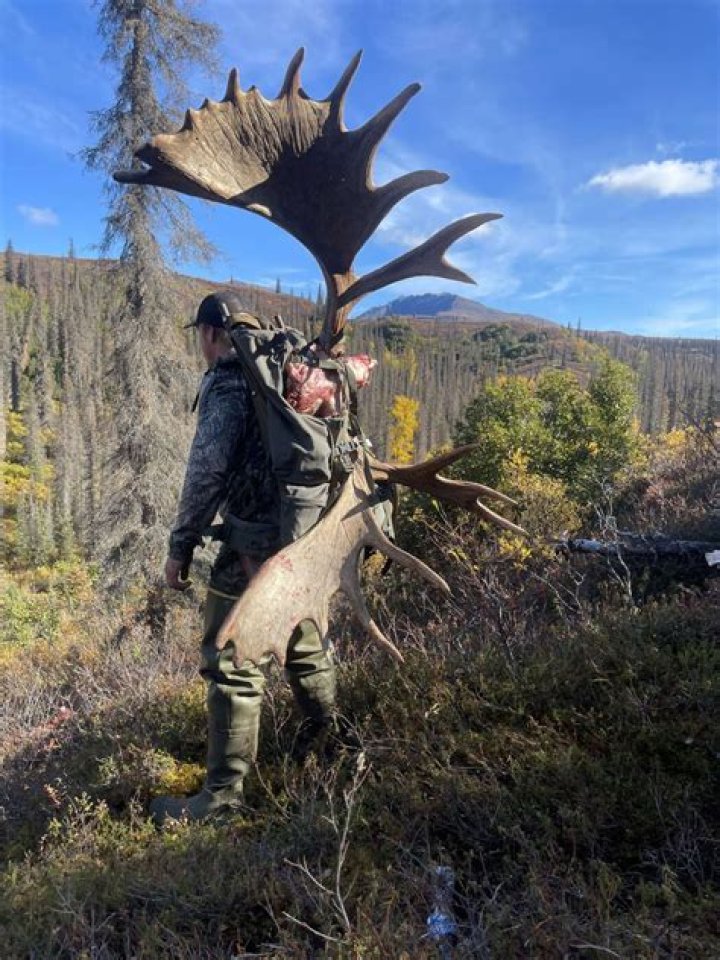 How much does it cost to go on a moose hunt in Alaska?