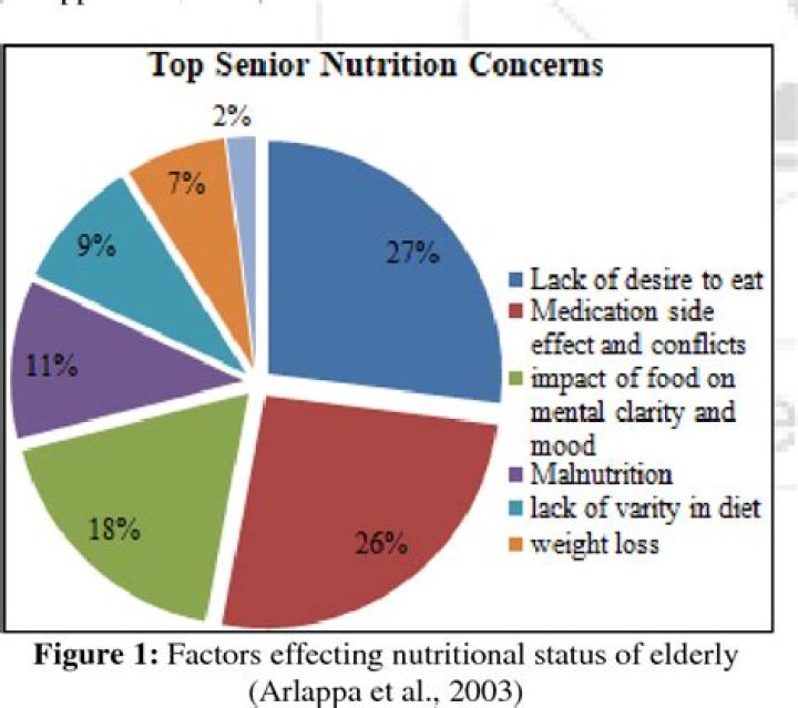 What are the nutritional needs of an elderly person?