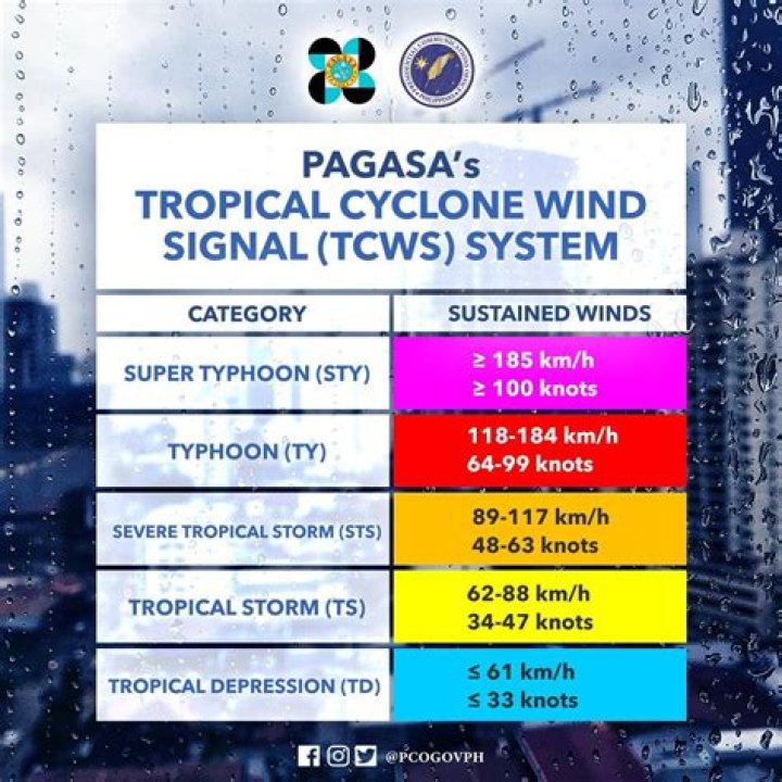 What are the signals of typhoon?