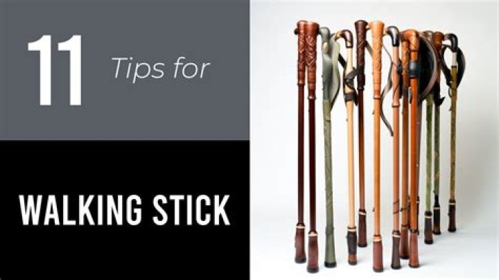 What are those sticks that help you walk called?