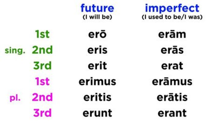 What does Fero mean Latin?