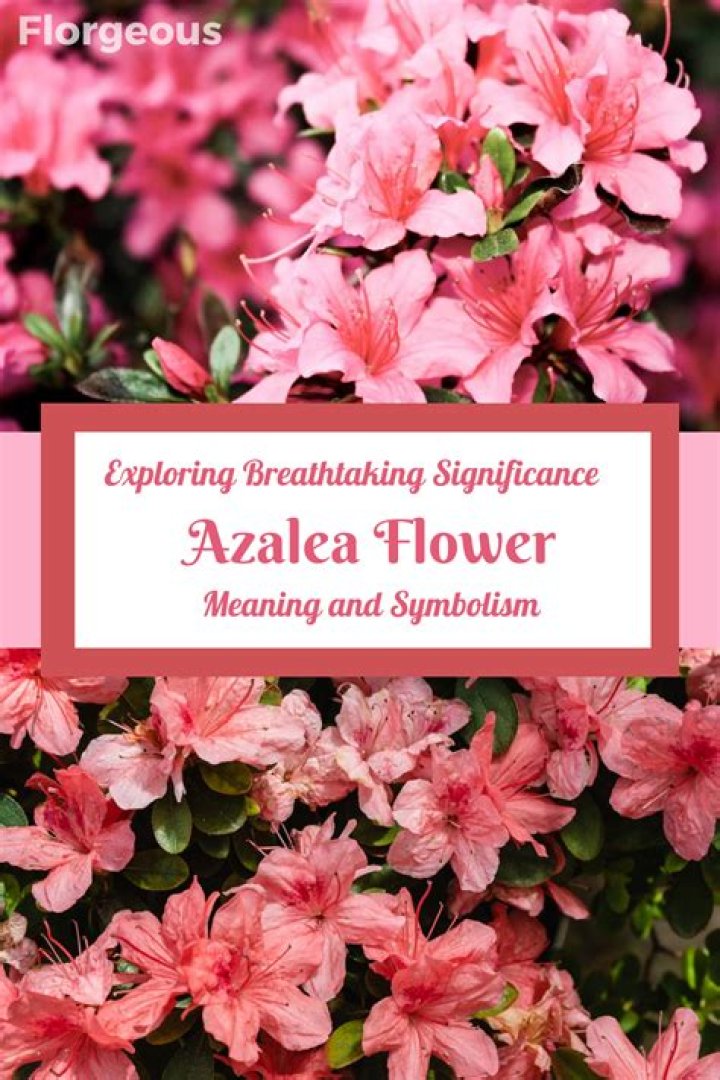 What does the name Azalea mean in Hebrew?