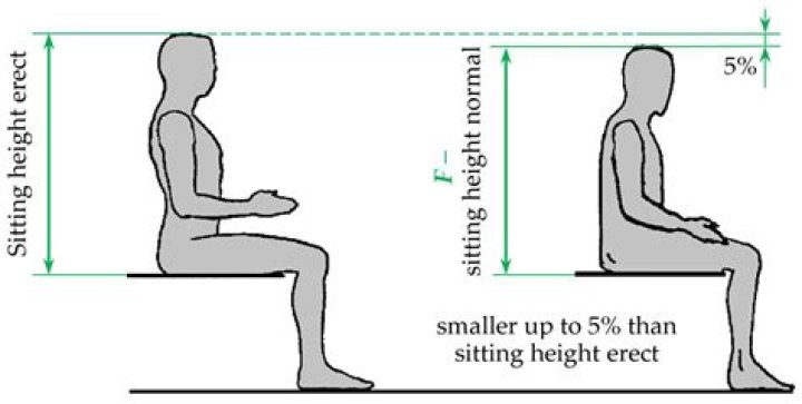 What is stature height?