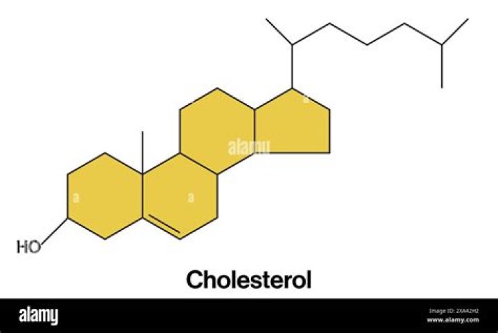What is the function of the cholesterol molecule?