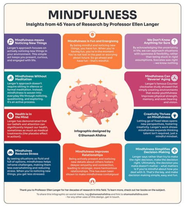 What is the Langer mindfulness scale?