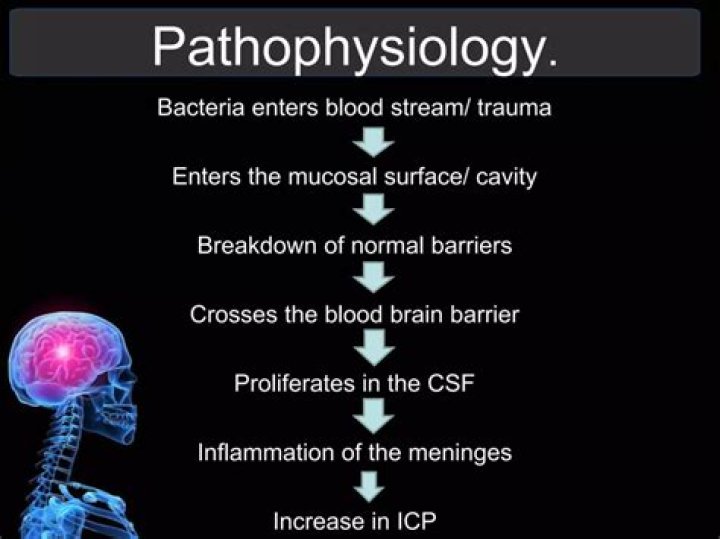 What is the pathophysiology of meningitis?