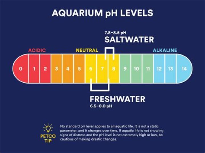 What is the pH level of antacids?
