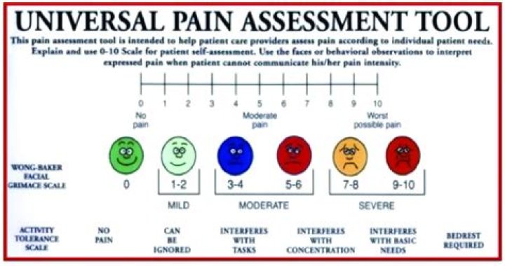 What is the universal pain assessment tool?