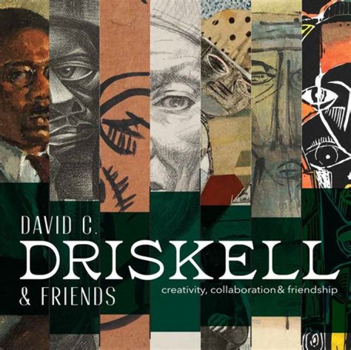 What type of art did David Driskell make?
