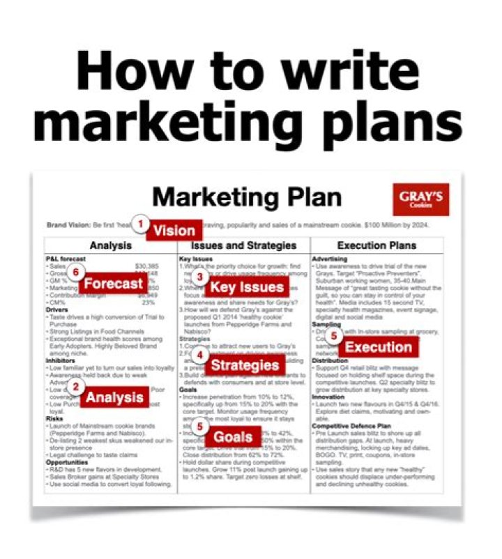 Which software program is best for writing a marketing plan?